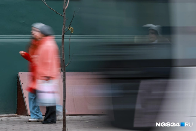 Когда торопишься в теплое местечко | Источник: Мария Ленц / NGS24.NRU