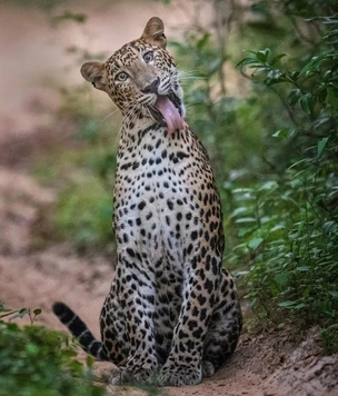 12 самых смешных фото животных за всю историю конкурса Nature Photography Contest