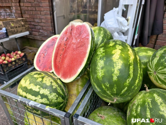 А вы уже ели арбуз? | Источник: Булат Салихов / UFA1.RU