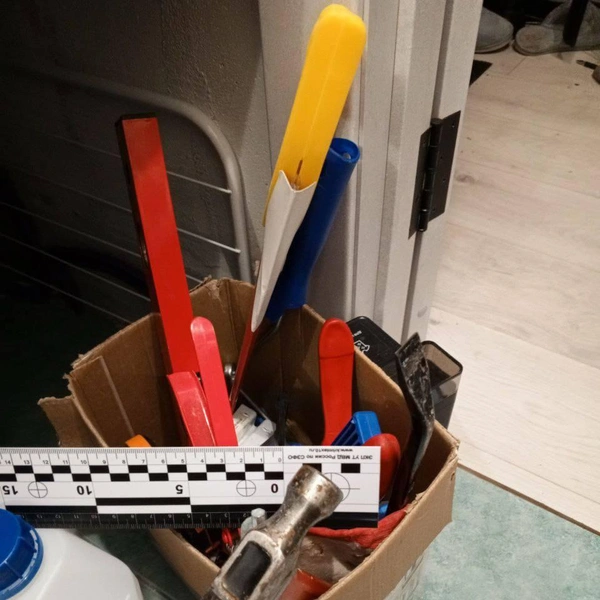 Источник: Управление на транспорте МВД России по СЗФО