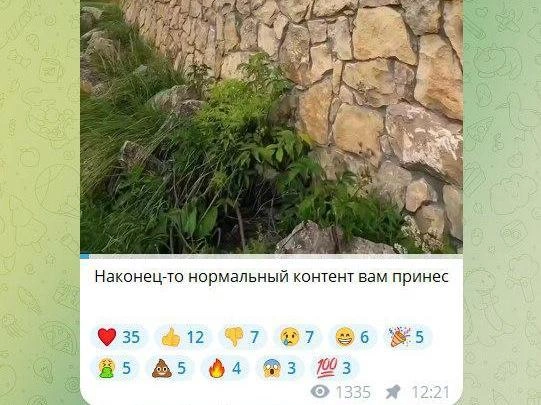 Другой пример бот-комментария | Источник: Telegram