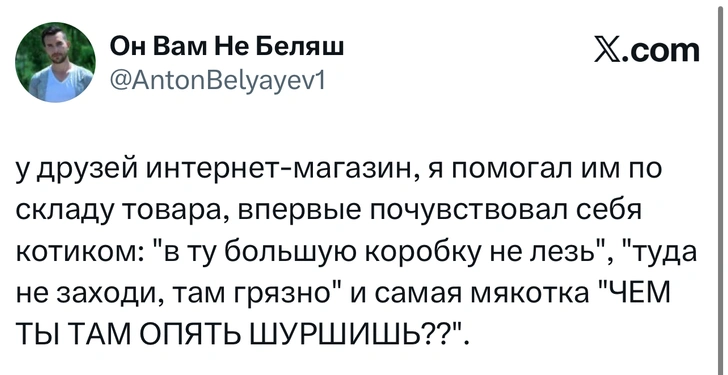 Источник: X (Twitter)