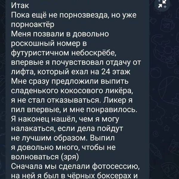 Источник: ТОР / T.me