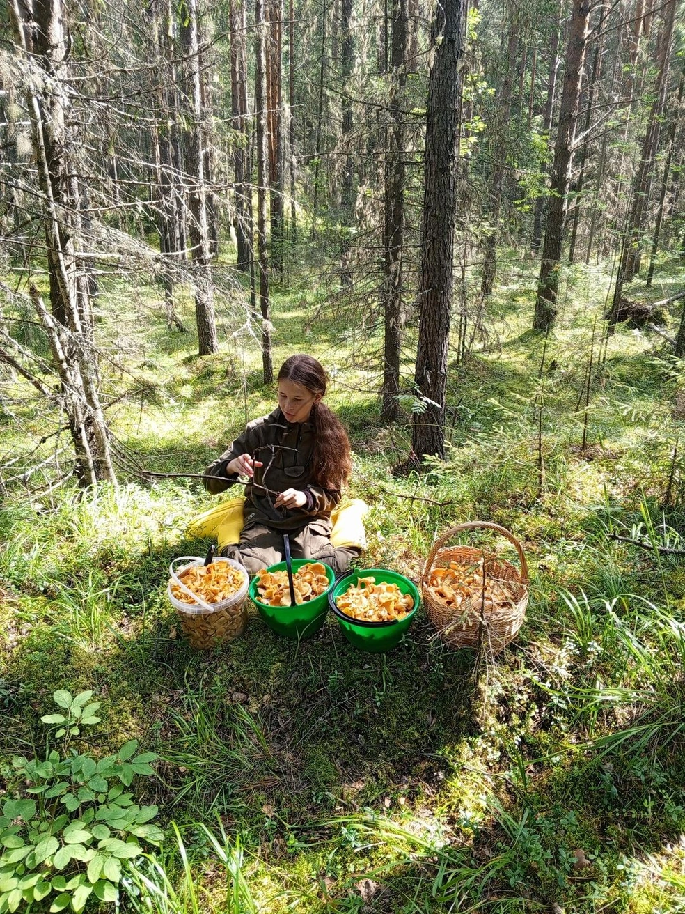 Источник: «Уральский яжегрибник» / Vk.com