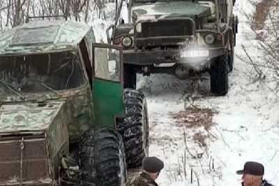 В Приамурье организация начала строить дорогу через заказник