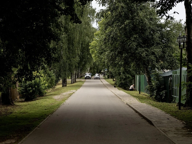 Старые деревья создают густую тень и особую атмосферу. | Источник: Александр Куренной / 76.RU
