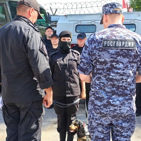 Источник: Главное управление Росгвардии по Петербургу и Ленинградской области