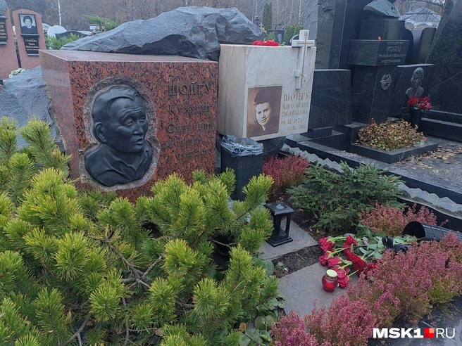 Источник: Алина Мельникова / MSK1.RU