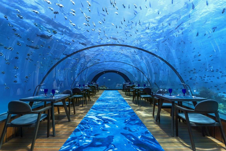 Полное погружение: топ-10 лучших подводных ресторанов (фото 33)
