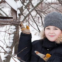 Кроссворд дня № 2: птицы — вспомните пернатых России и получите совет для легкости