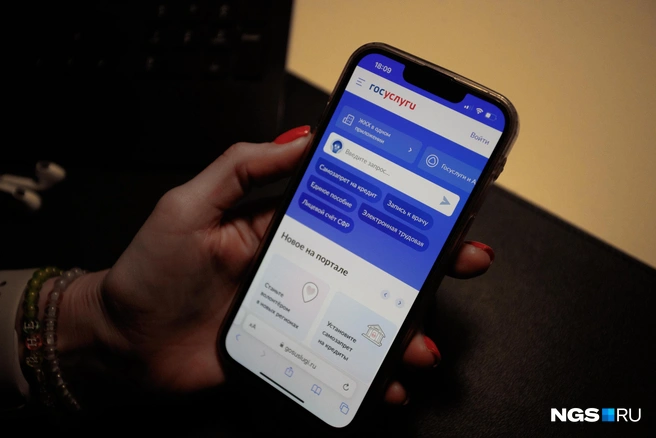 За первые дни сервисом воспользовались больше 40 тысяч человек, и это только в Новосибирской области | Источник: Андрей Бортко / NGS.ru