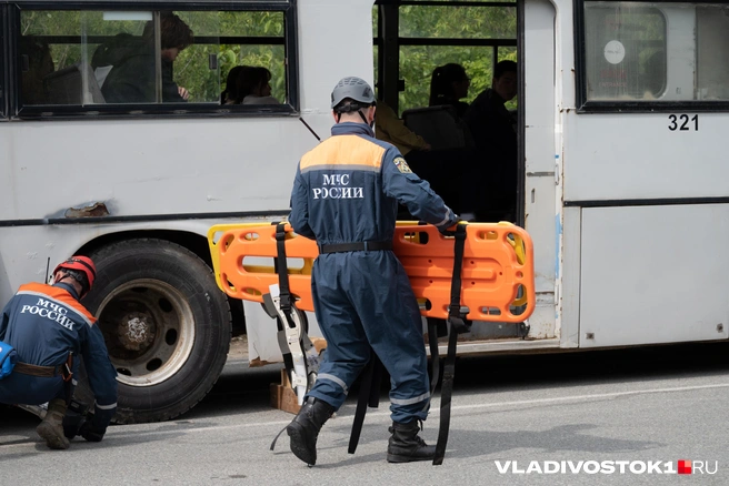 Источник: Елена Буйвол / VLADIVOSTOK1.RU