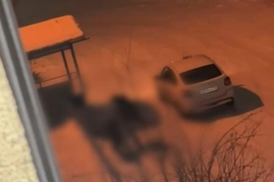 Избиение девушки у подъезда попало на видео в Волгоградской области