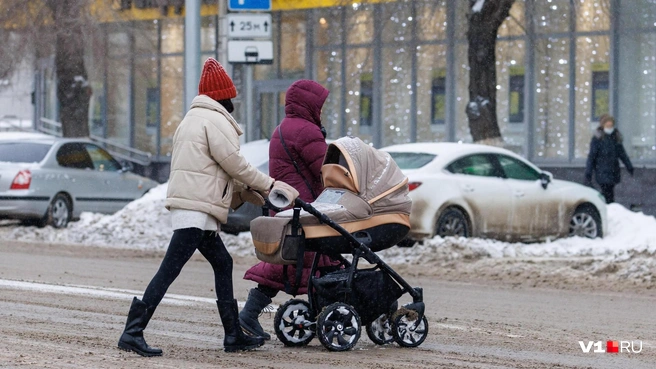Нужно ли поднять размер материнского капитала? | Источник: Алексей Волхонский / V1.RU