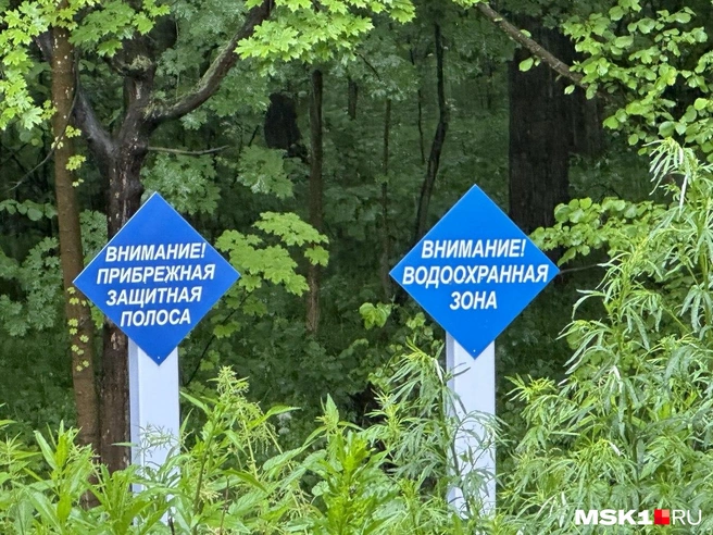 Жители Королева протестуют против строительства дороги | Источник: Андрей Кузнецов / MSK1.RU