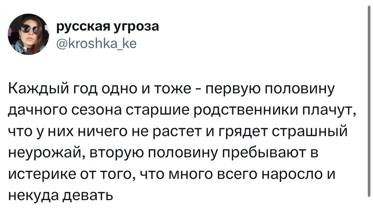 Источник: X (Twitter)