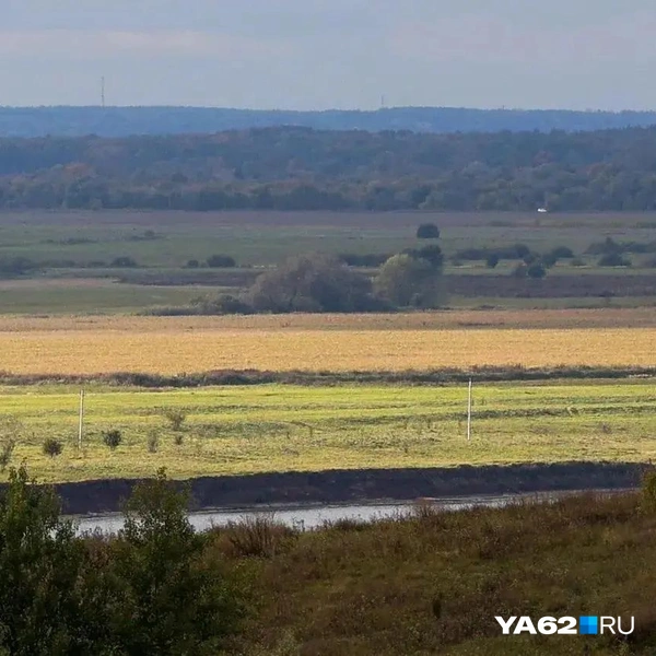 В Константинове шикарные виды на бескрайние поля | Источник: Артем Устюжанин / MSK1.RU