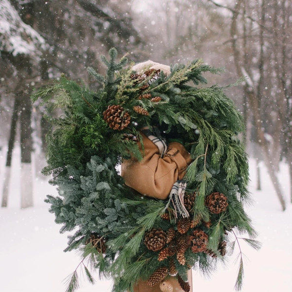 Источник: @lacy_bird