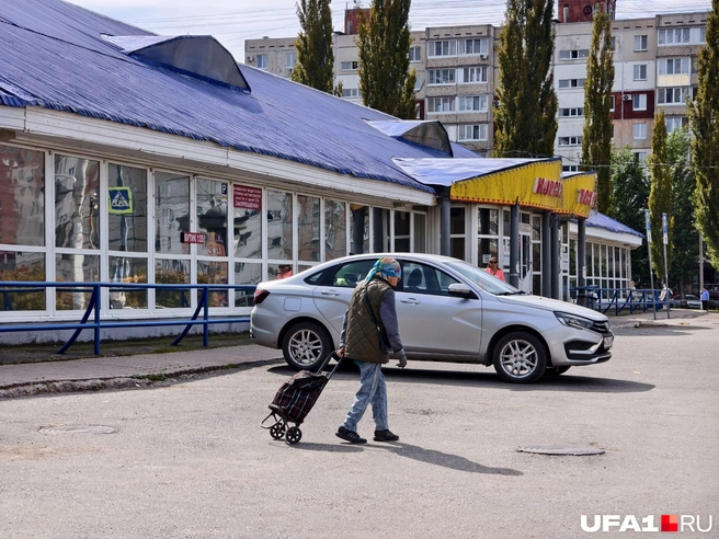 Местная жительница по привычке, видимо, пошла на «Корсо» | Источник: Булат Салихов / UFA1.RU