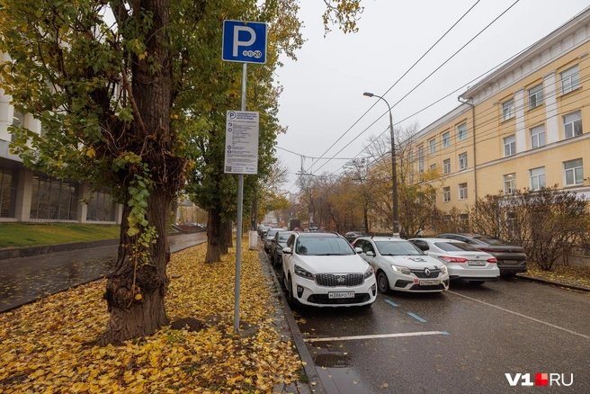 Синяя разметка и знаки платной парковки уже появились, но можно пока не платить | Источник: Алексей Волхонский / V1.RU