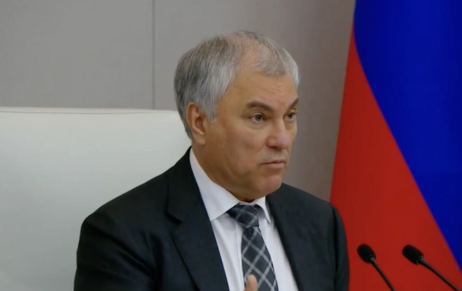 Спикер Госдумы не очень удачно сформулировал мысль | Источник: Вячеслав Володин / Telegram