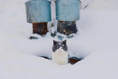 Arkhangelsk region braces for promised frost tonight, down to -30°C
