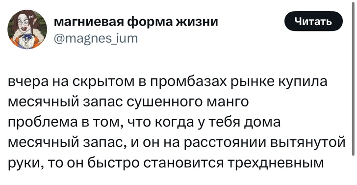Источник: X (Twitter)