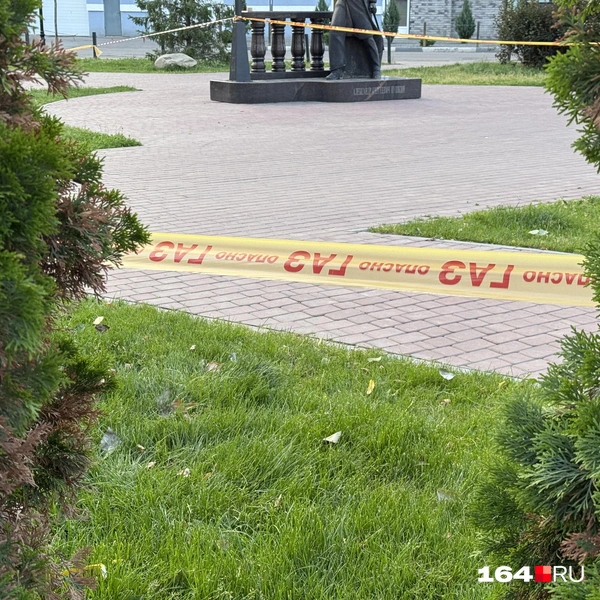 Источник: Сергей Петунин / 164.RU