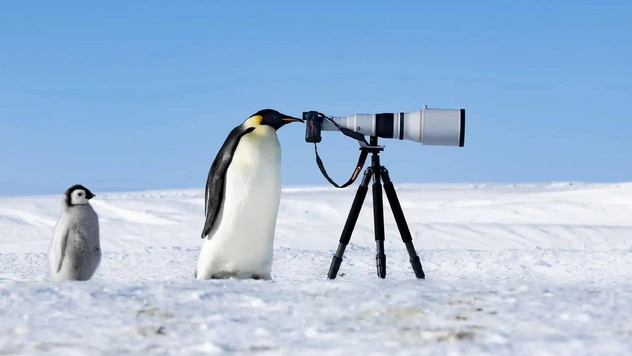 Самые красивые фотографии природы: победители фотоконкурса The Nature Photography Contest