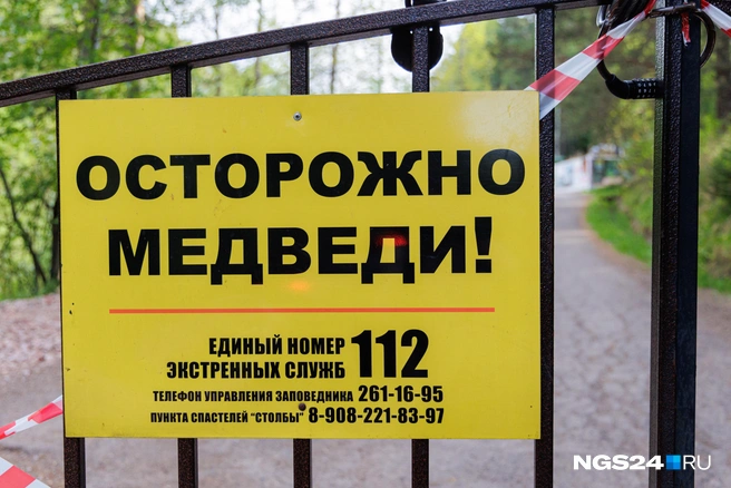Бодрящая вывеска на Столбах | Источник: Мария Ленц / NGS24.RU