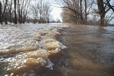 Половодье в Рязанской области: изменения уровня воды