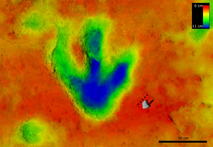 Тропы юрского периода: в Великобритании нашли почти 200 прекрасно сохранившихся отпечатков лап динозавров