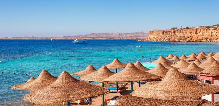 Чтобы не потерять туристов, пляжи оборудуют сетками, но только дорогие — как живет Египет после ЧП с акулой