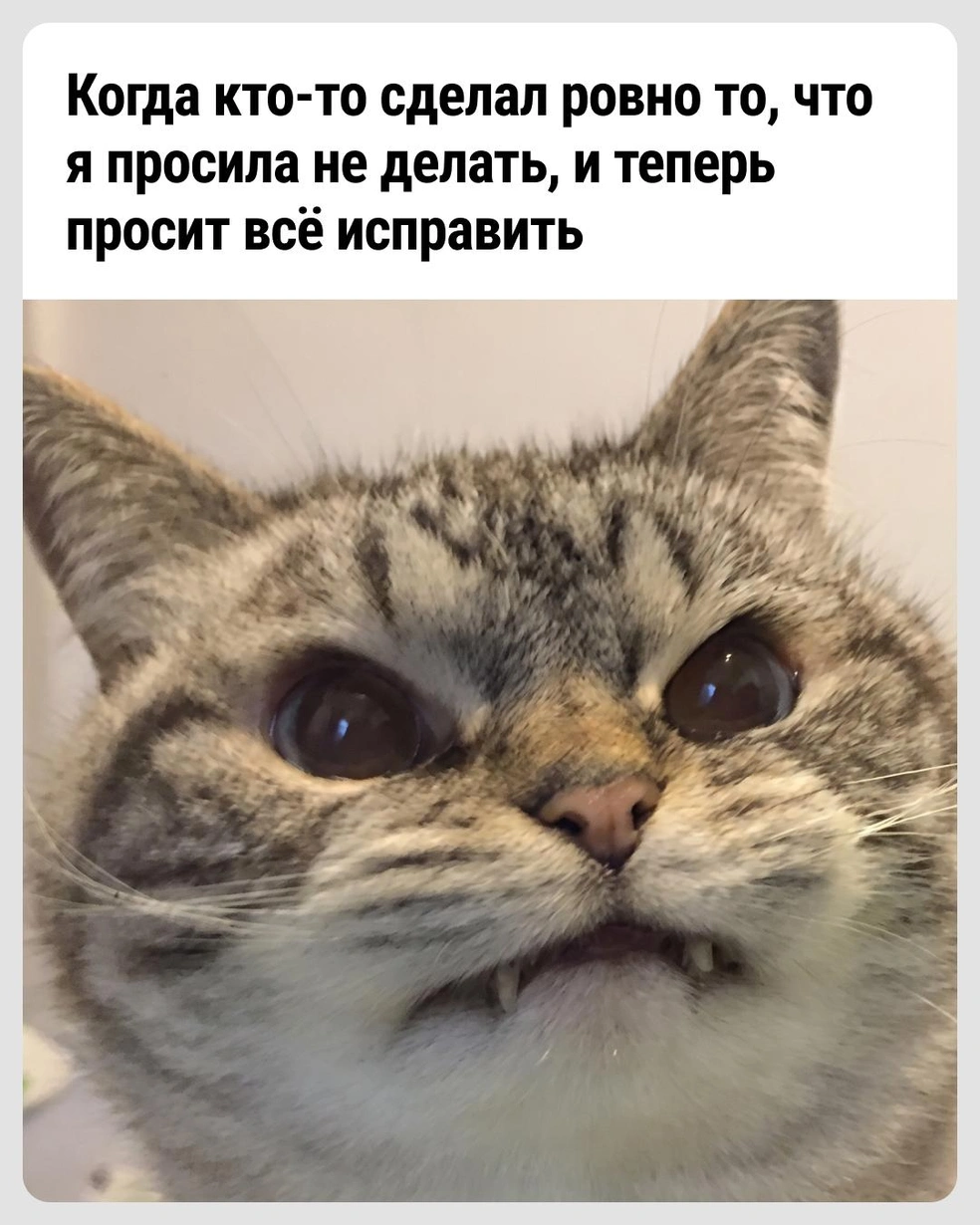 Можно было изначально послушать, конечно | Источник: Городские медиа