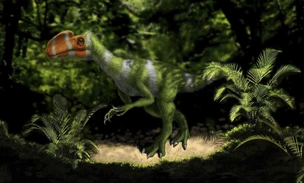 Родина динозавров: какие ископаемые ящеры обитали на территории современной России