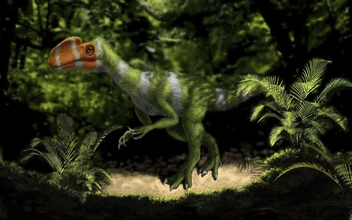 Родина динозавров: какие ископаемые ящеры обитали на территории современной России