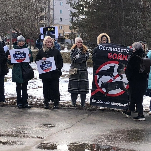 Источник: предоставлено Мариной Банницыной