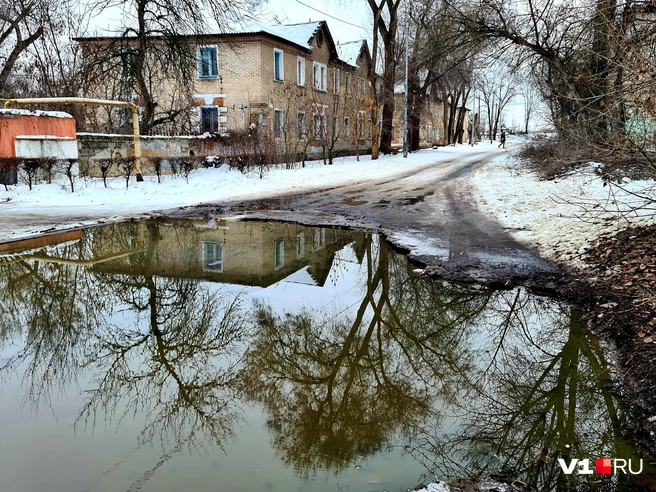 В одном кадре можно увидеть сразу два мира: реальный и его зеркальное отражение | Источник: Константин Завриков / V1.RU