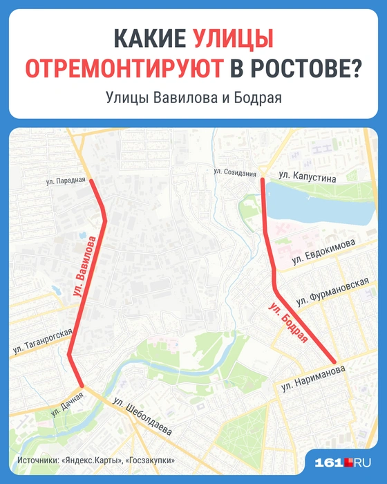 Источник: Мария Романова / 161.RU