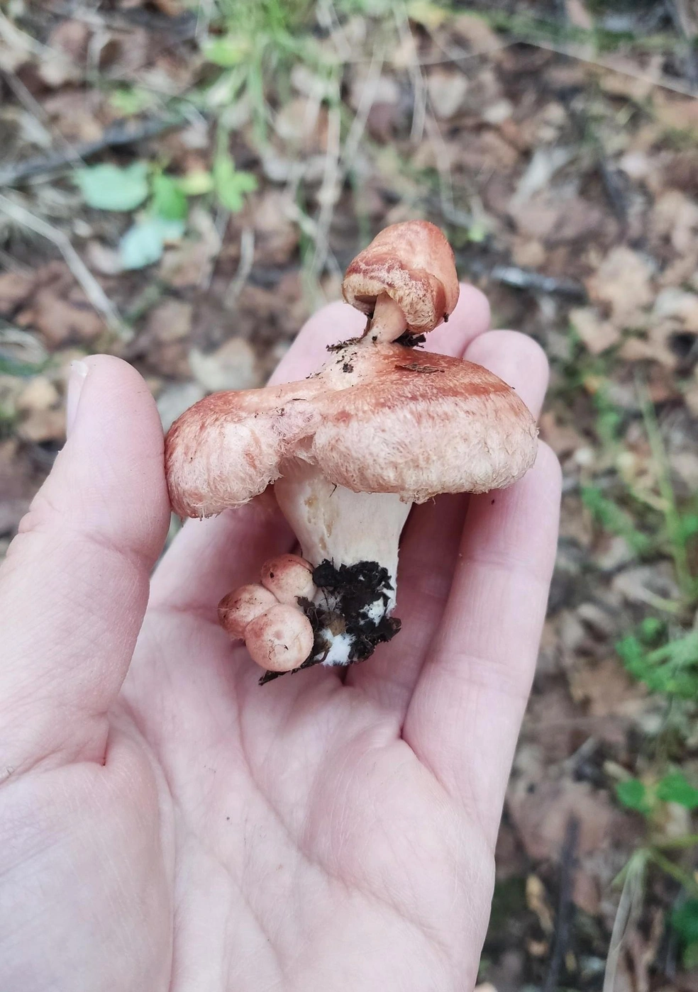 Источник: Елена Богатько