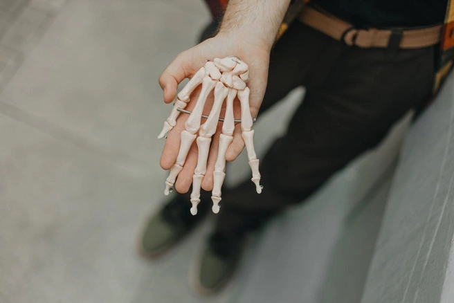 Источник: Ксения Зимина