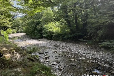 Администрация Сочи выплатит 83,9 млн за загрязнение реки Аше