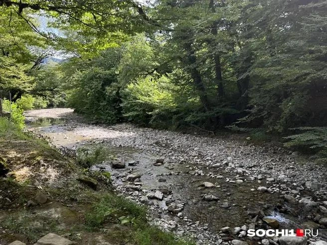 Сети, отравляющие реку и море — бесхозные, поэтому отвечать администрации | Источник: Анна Грицевич / SOCHI1.RU