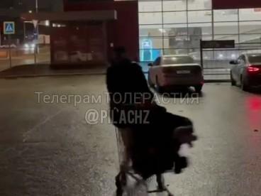 В центре Волгограда кавказцы устроили танцы со стрельбой — видео