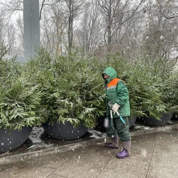 Источник: Комитет по благоустройству Санкт-Петербурга