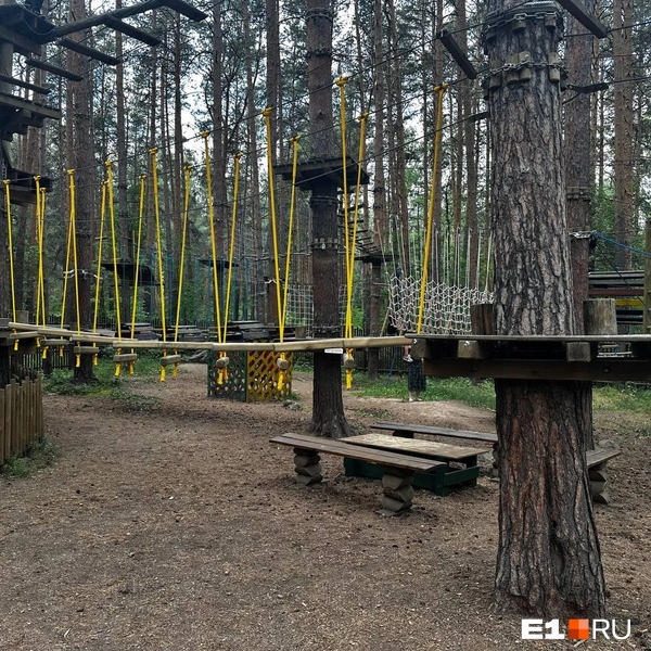 В парке есть трассы разных уровней сложности | Источник: Анастасия Малова / E1.RU