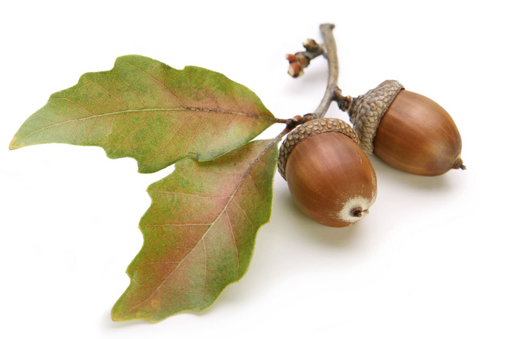 iStock
