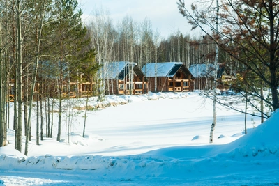 Элитный поселок под Екатеринбургом остался без интернета из-за суда