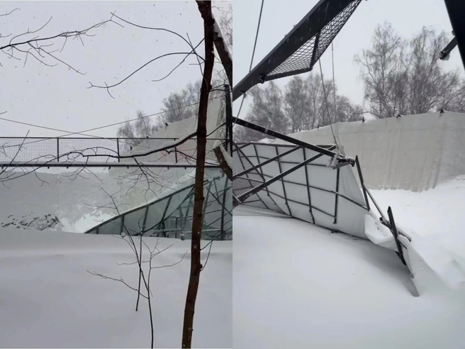 Источник: «Сокольники Соседи» / T.me