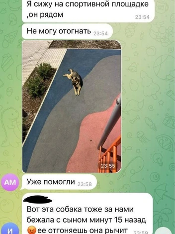 Источник: Татьяна Есикова